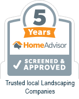 5-Years badge
